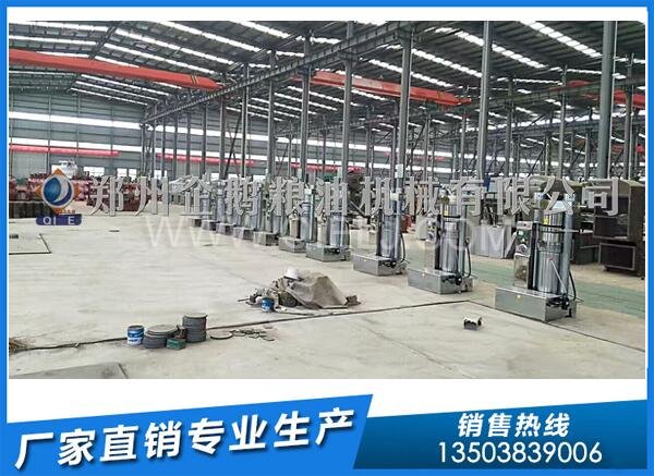 企鵝榨油機:新疆10噸核桃油壓榨生產(chǎn)線安裝進(jìn)行中(圖2) 液壓榨油機