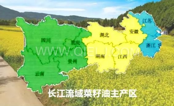 濃香菜籽油成套設(shè)備,企鵝糧油機(jī)械品質(zhì)出眾(圖1) 濃香菜籽油成套設(shè)備,企鵝糧油機(jī)械品質(zhì)出眾(圖1)