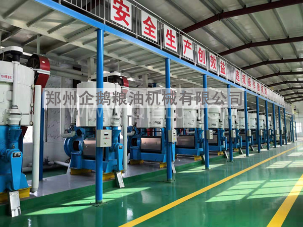 油脂精煉成套設(shè)備，企鵝糧油機(jī)械 品質(zhì)優(yōu)良+技術(shù)成熟(圖1)